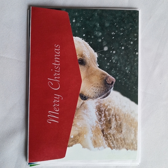 🅓🅞🅝🅐🅣🅔🅓! - Picture 10 of 16